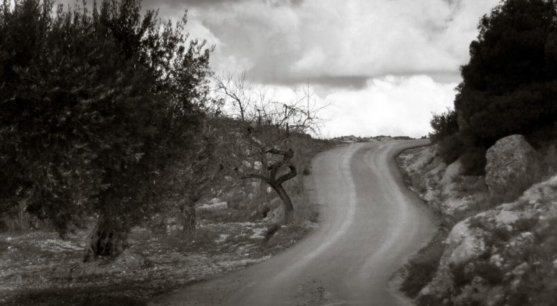 Fotógrafo de viajes en Barceloana